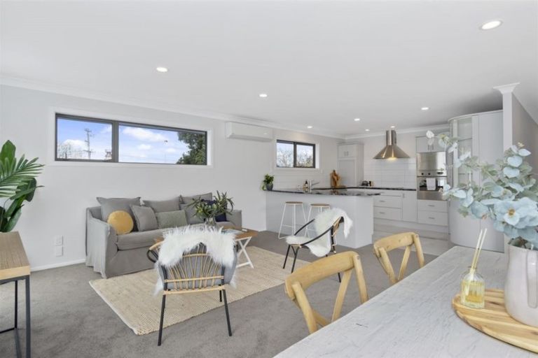 Photo of property in 37a Campbell Road, Mount Maunganui, 3116