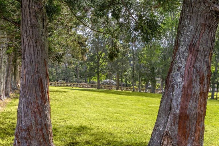 Photo of property in 713 Ararimu Valley Road, Helensville, 0882