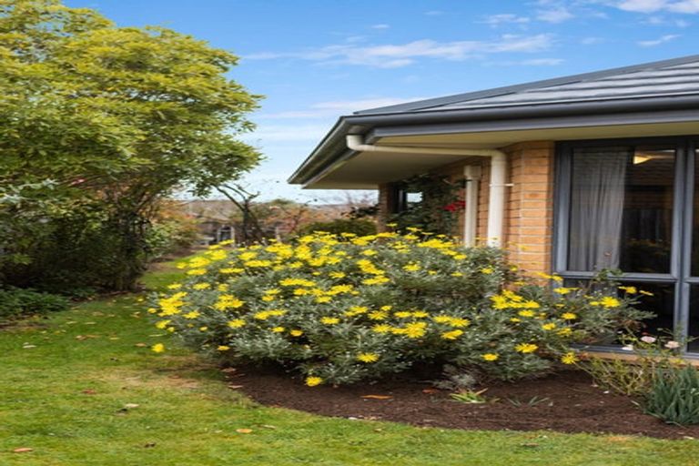 Photo of property in 145 Chinnerys Road, Woodend, 7610