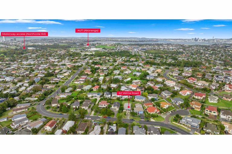 Photo of property in 42 Velma Road, Hillcrest, Auckland, 0627
