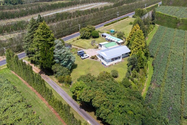 Photo of property in 700 Te Matai Road, Te Puke, 3188
