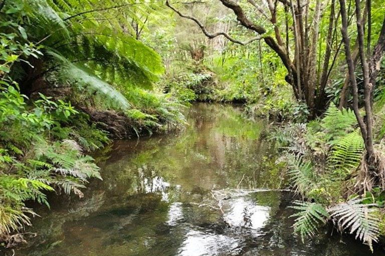 Photo of property in 728 Peak Road, Helensville, 0875