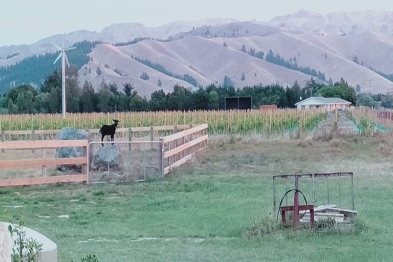 Photo of property in 92 Beacon Road, Dillons Point, Blenheim, 7273