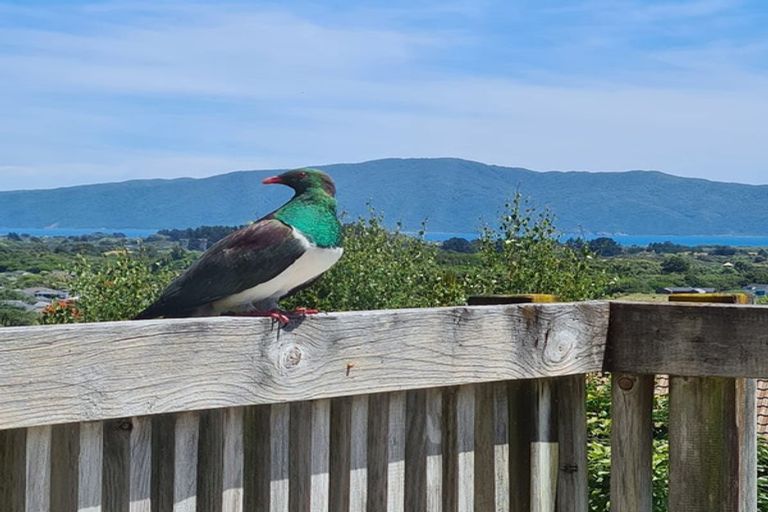 Photo of property in 9 Amokura Street, Waikanae, 5036