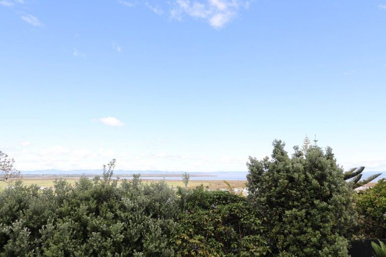 Photo of property in 131 Brunton Crescent, Thames, 3500