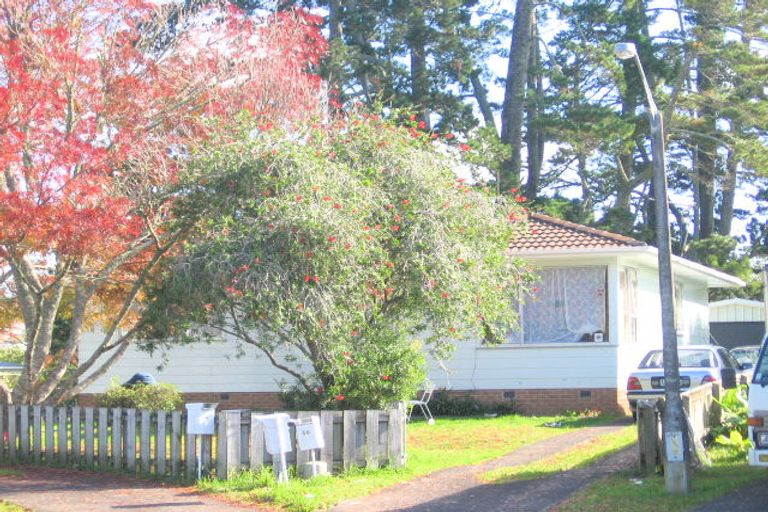 Photo of property in 56 Coburg Street, Henderson, Auckland, 0612