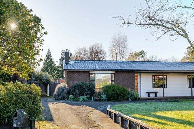 Photo of property in 25 Willowbank Crescent, Feilding, 4702