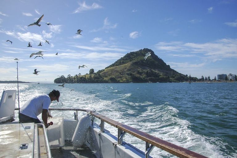 Photo of property in 310/332 Maunganui Road, Mount Maunganui, 3116