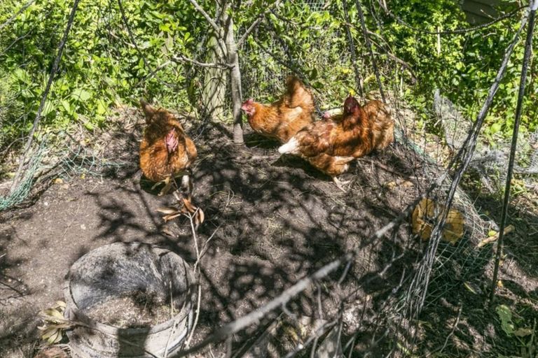 Photo of property in 90 Curtis Street, Northland, Wellington, 6012