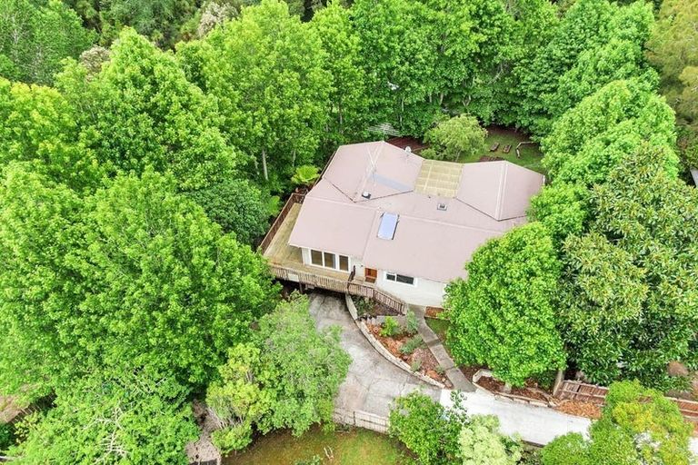 Photo of property in 72 Fitzwater Place, Henderson, Auckland, 0612