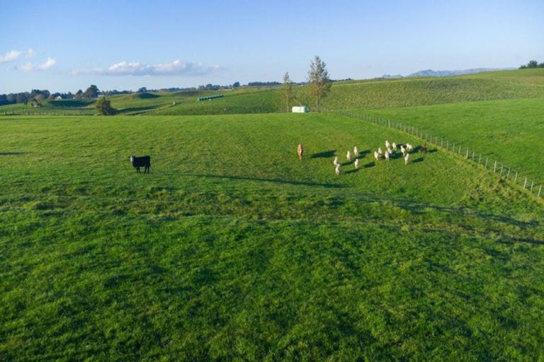 Photo of property in 180 Tipapakuku Road, Dannevirke, 4930