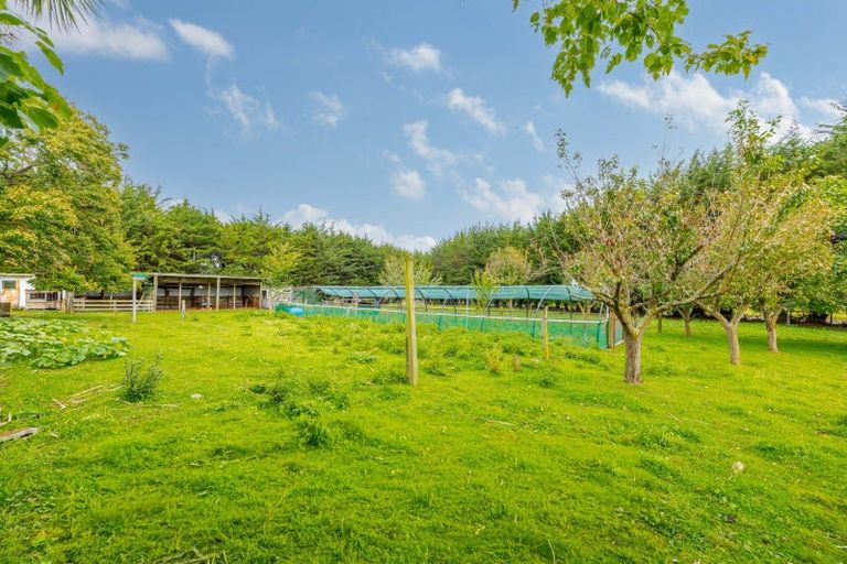 Photo of property in 16 Swamp Road, Ongaonga, Waipawa, 4272