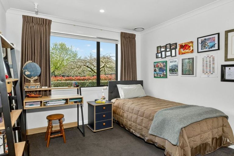 Photo of property in 5 Chestnut Lane, Matamata, 3400