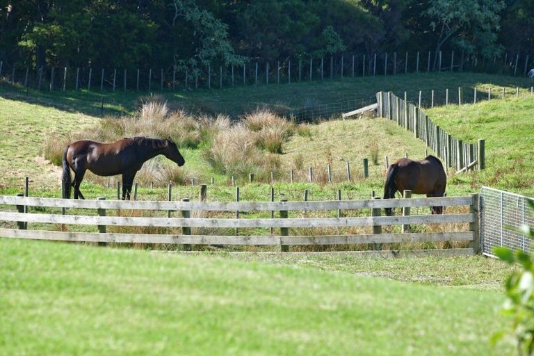 Photo of property in 313 Pukapuka Road, Pohuehue, Warkworth, 0983