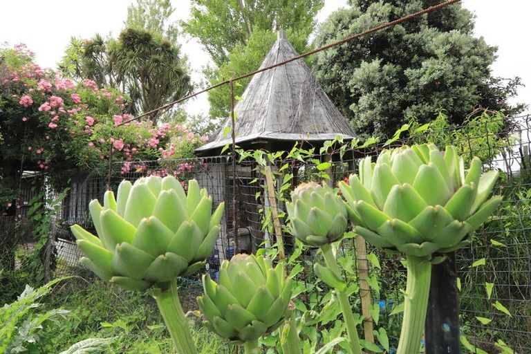 Photo of property in 37 Gillies Crescent, Waimarama, Havelock North, 4294