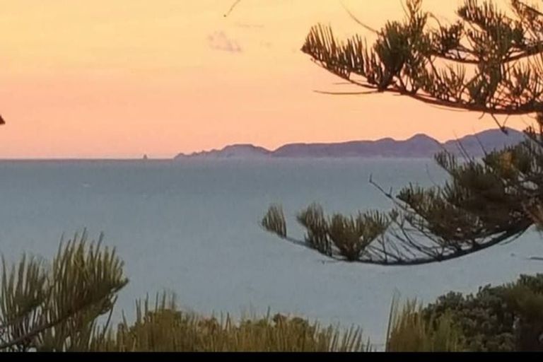 Photo of property in 251 Marine Parade, Napier South, Napier, 4110