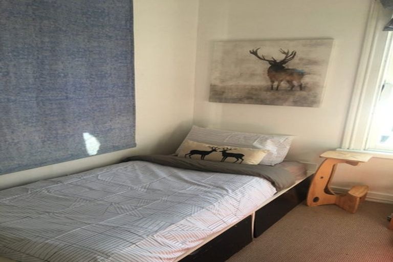 Photo of property in 44 Aro Street, Aro Valley, Wellington, 6021