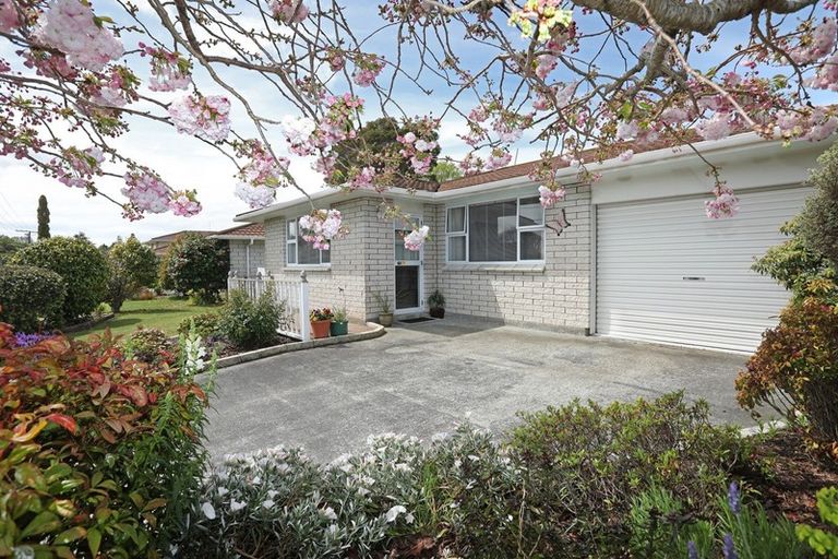 Photo of property in 47 Skerman Street, Marton, 4710