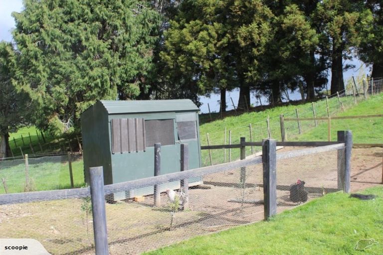 Photo of property in 610 Three Mile Bush Road, Te Kamo, Kamo, 0185