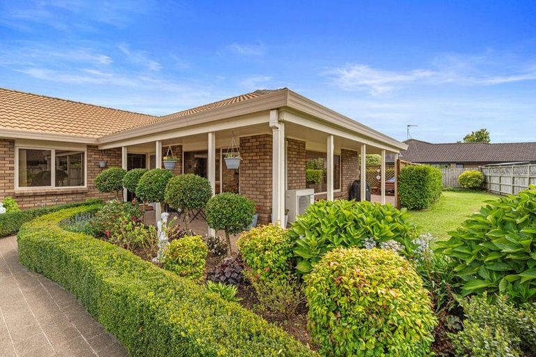 Photo of property in 244 Grandview Road, Western Heights, Hamilton, 3200