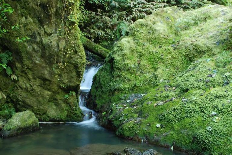 Photo of property in 114 Hay Road, Helena Bay, Hikurangi, 0184