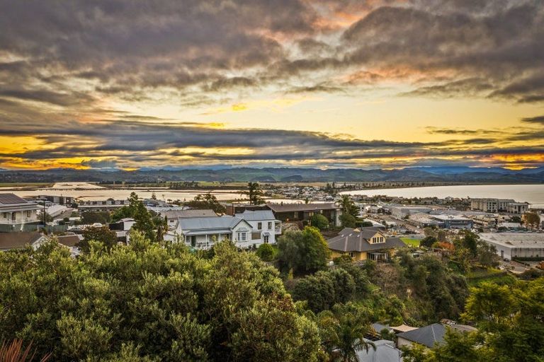 Photo of property in 21 Denholm Road, Hospital Hill, Napier, 4110