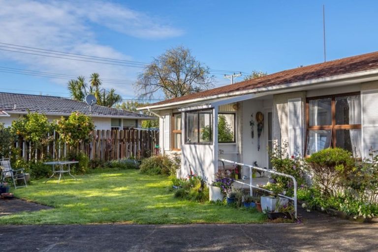 Photo of property in 4a Chamberlain Road, Masterton, 5810