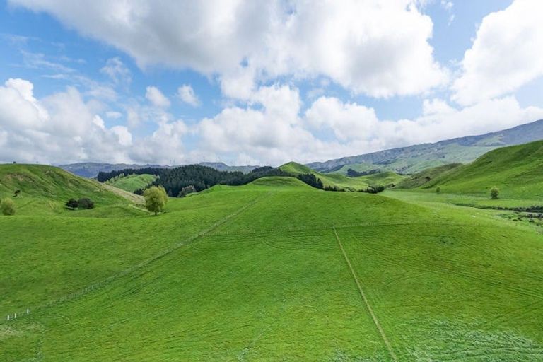 Photo of property in 437 Pinfold Road, Papatawa, 4998