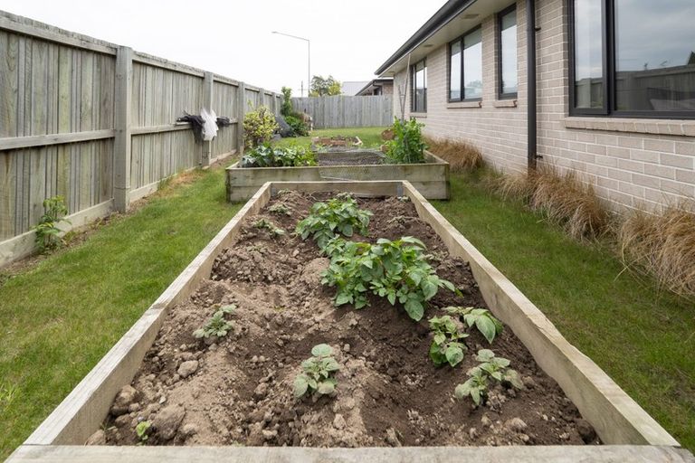 Photo of property in 3 Allison Street, Allenton, Ashburton, 7700