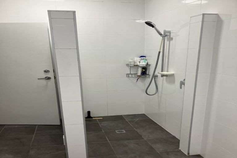 Photo of property in 166 Owen Street, Newtown, Wellington, 6021