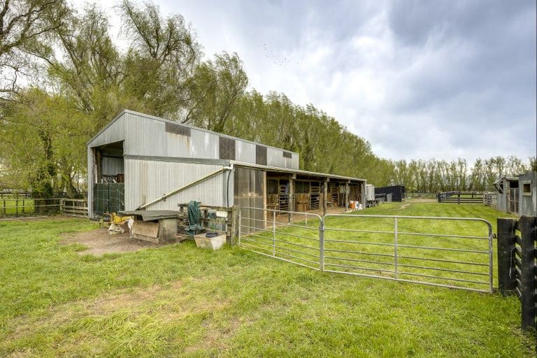 Photo of property in 510 Wall Road, Raureka, Hastings, 4120