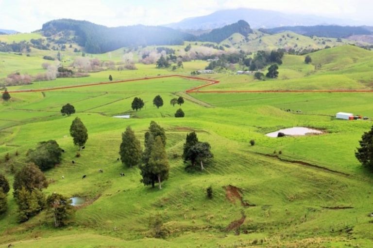 Photo of property in 1008 Tangowahine Valley Road, Tangowahine, Dargaville, 0372