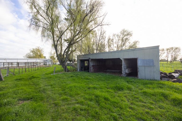 Photo of property in 582 Milson Line, Newbury, Palmerston North, 4478