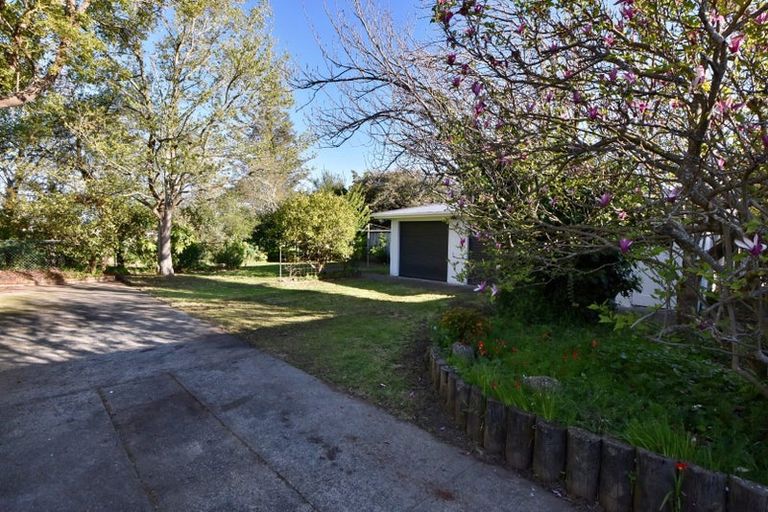 Photo of property in 21 Taverner Street, Carterton, 5713