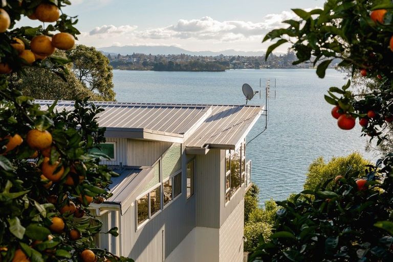 Photo of property in 360 Maungatapu Road, Maungatapu, Tauranga, 3112