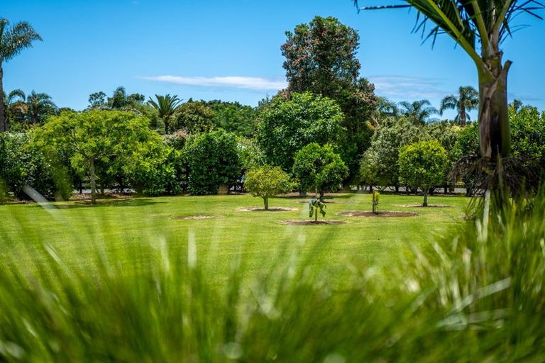 Photo of property in 18 Karaka Drive, Kerikeri, 0230