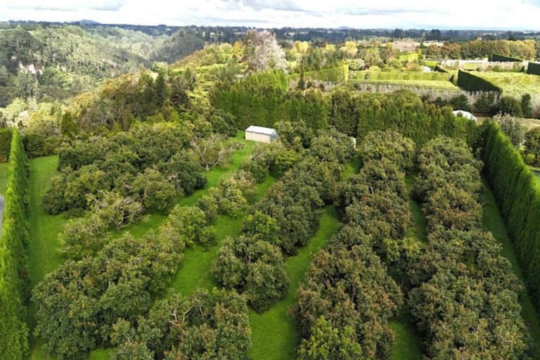 Photo of property in 559b Belk Road, Omanawa, Tauranga, 3171