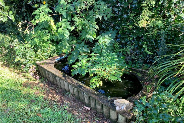 Photo of property in 6719 Mangakahia Road, Kaikohe, 0474