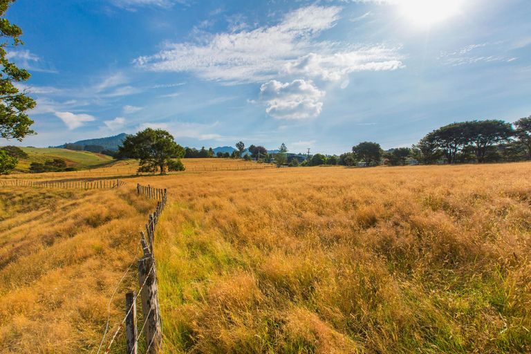 Photo of property in 81 Upper Wainui Road, Raglan, 3297