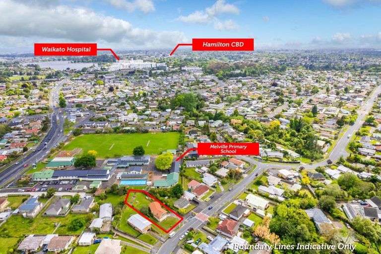 Photo of property in 43 Urlich Avenue, Melville, Hamilton, 3206