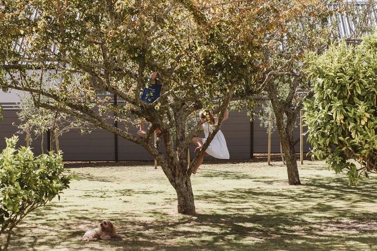 Photo of property in 366 Frankley Road, Ferndale, New Plymouth, 4310