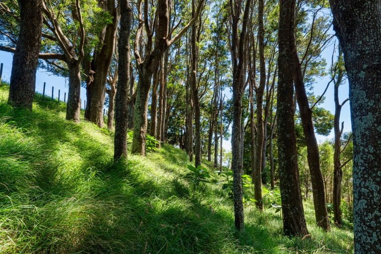 Photo of property in 359ra Kaitemako Road, Welcome Bay, Tauranga, 3175