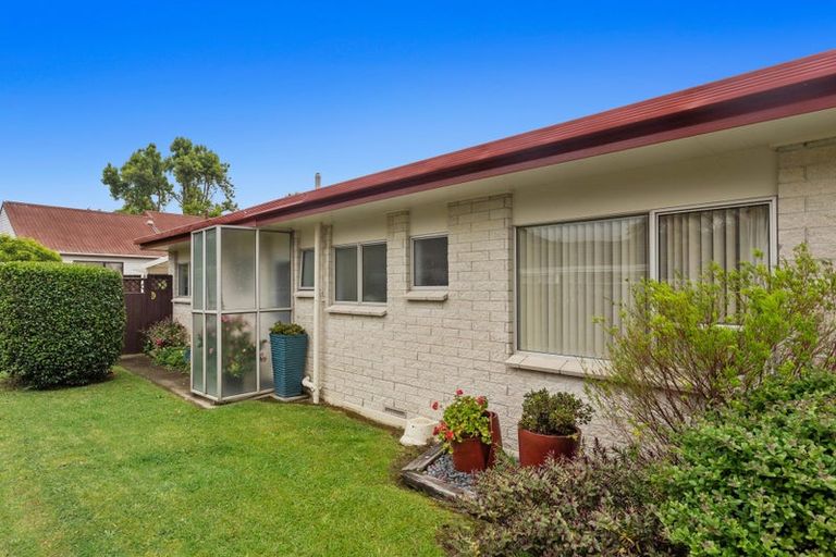 Photo of property in 6 Olympic Drive, Whakatane, 3120