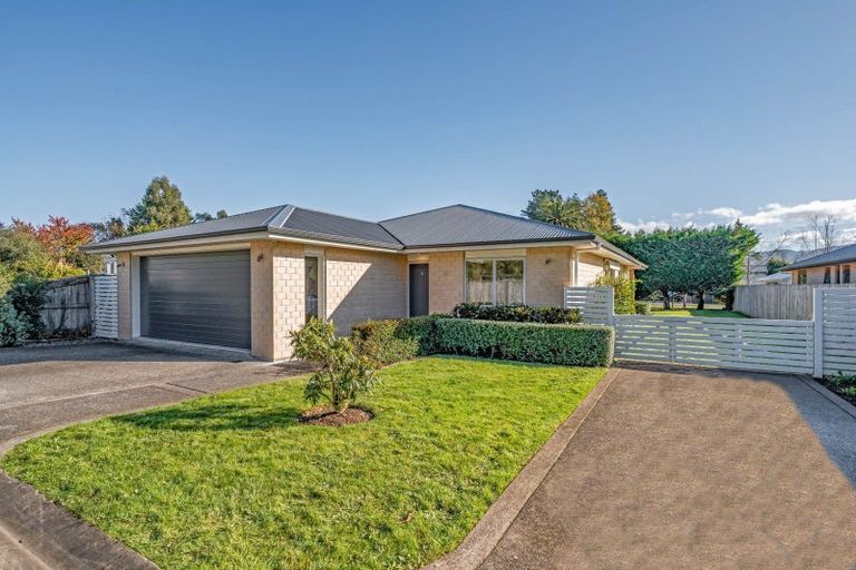 Photo of property in 45b Costley Street, Carterton, 5713