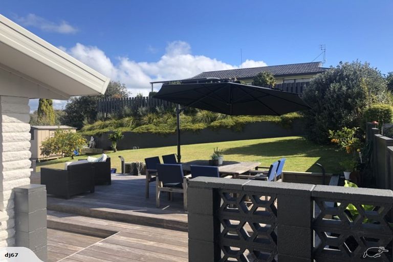 Photo of property in 17 Maple Avenue, Dinsdale, Hamilton, 3204