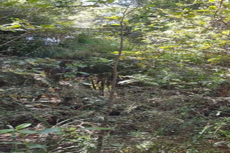 Photo of property in 1a Riverside Terrace, Westport, 7892