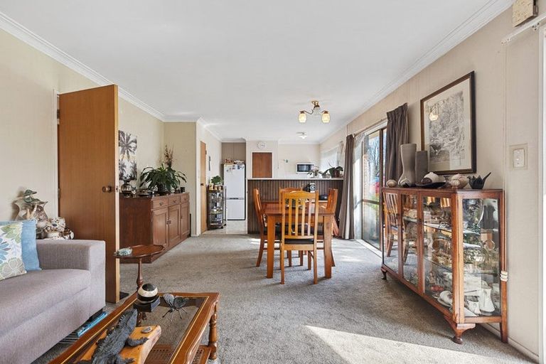 Photo of property in 114b Sixteenth Avenue, Tauranga South, Tauranga, 3112