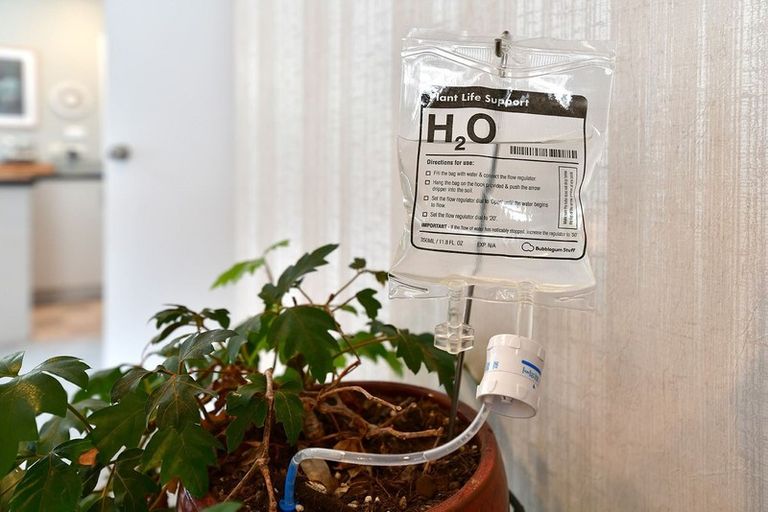 Photo of property in 2/11 Milton Road, Orewa, 0931