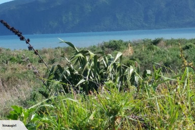 Photo of property in 37 Manly Street, Paraparaumu Beach, Paraparaumu, 5032