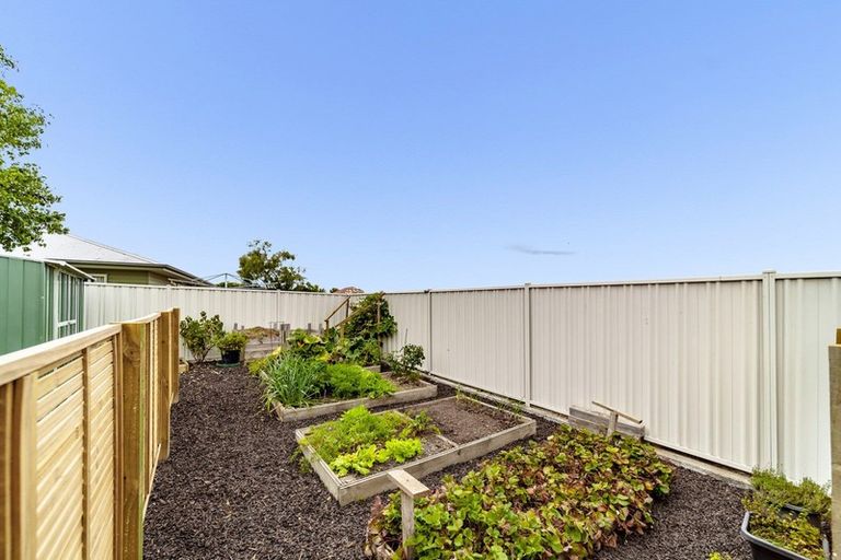 Photo of property in 6 Highgrove Place, Waipukurau, 4200